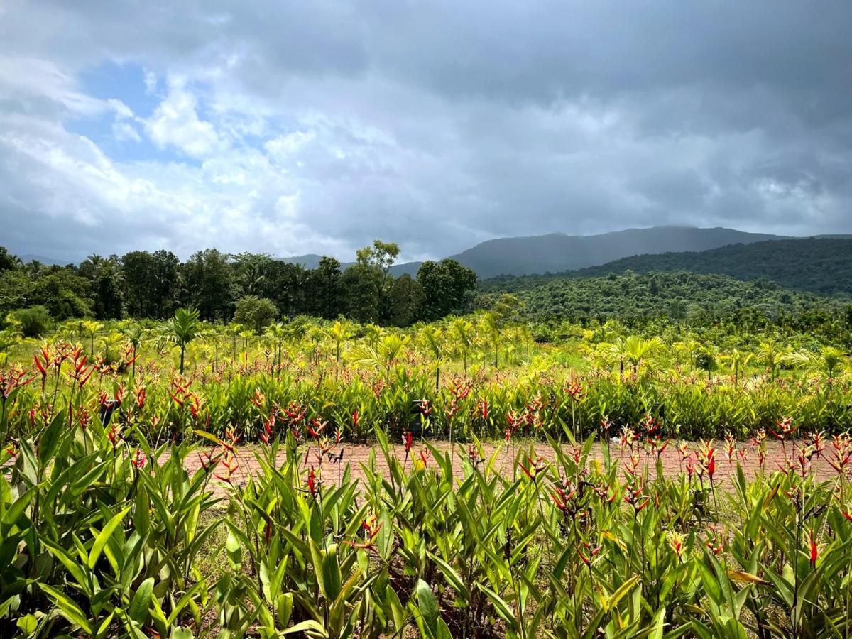 The Postcard Hideaway, Netravali Wildlife Sanctuary, Goa Vichondrem Exterior foto