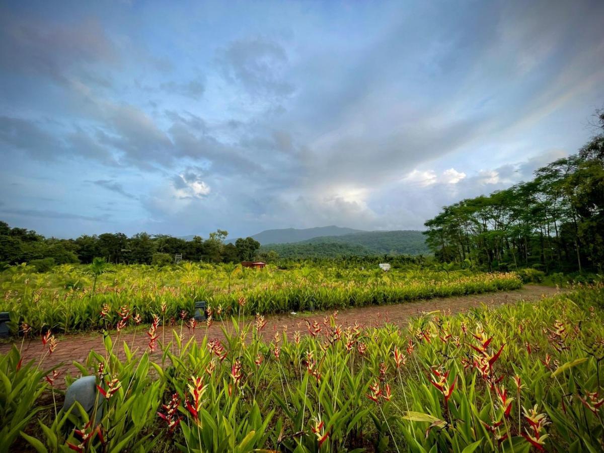 The Postcard Hideaway, Netravali Wildlife Sanctuary, Goa Vichondrem Exterior foto