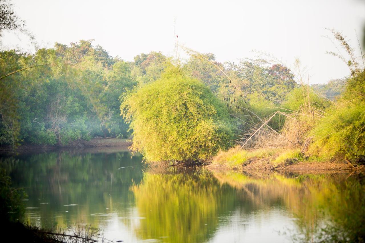 The Postcard Hideaway, Netravali Wildlife Sanctuary, Goa Vichondrem Exterior foto