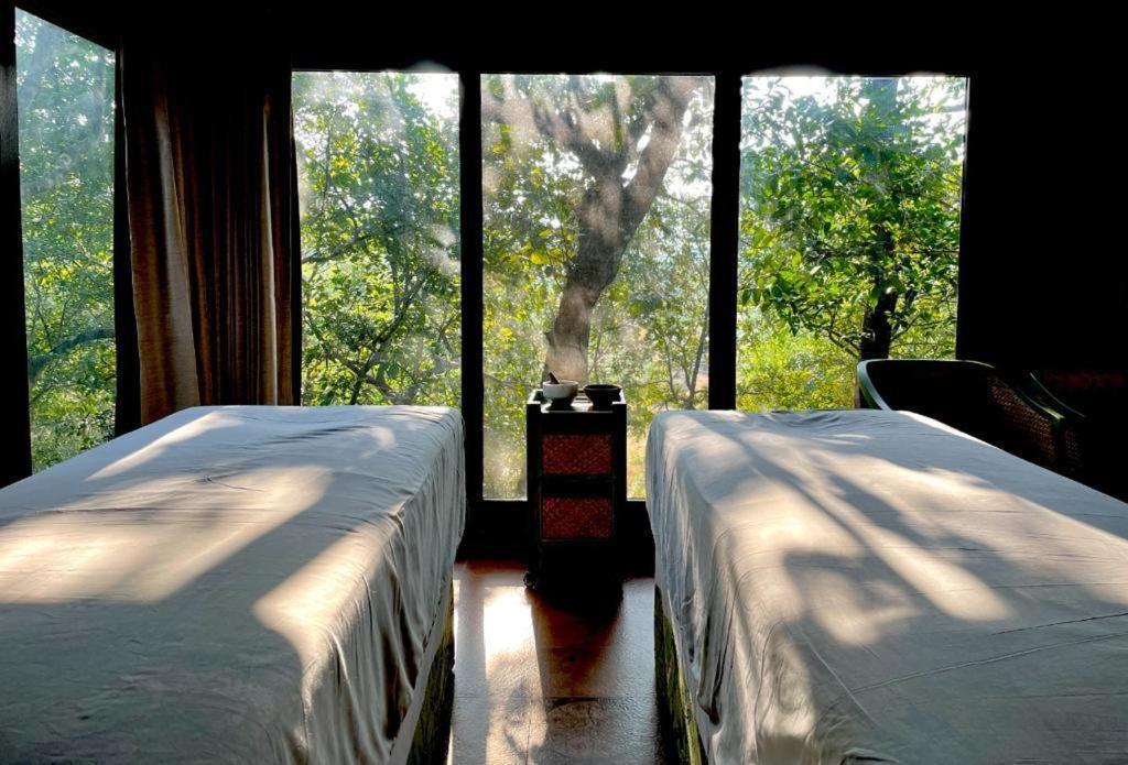The Postcard Hideaway, Netravali Wildlife Sanctuary, Goa Vichondrem Exterior foto