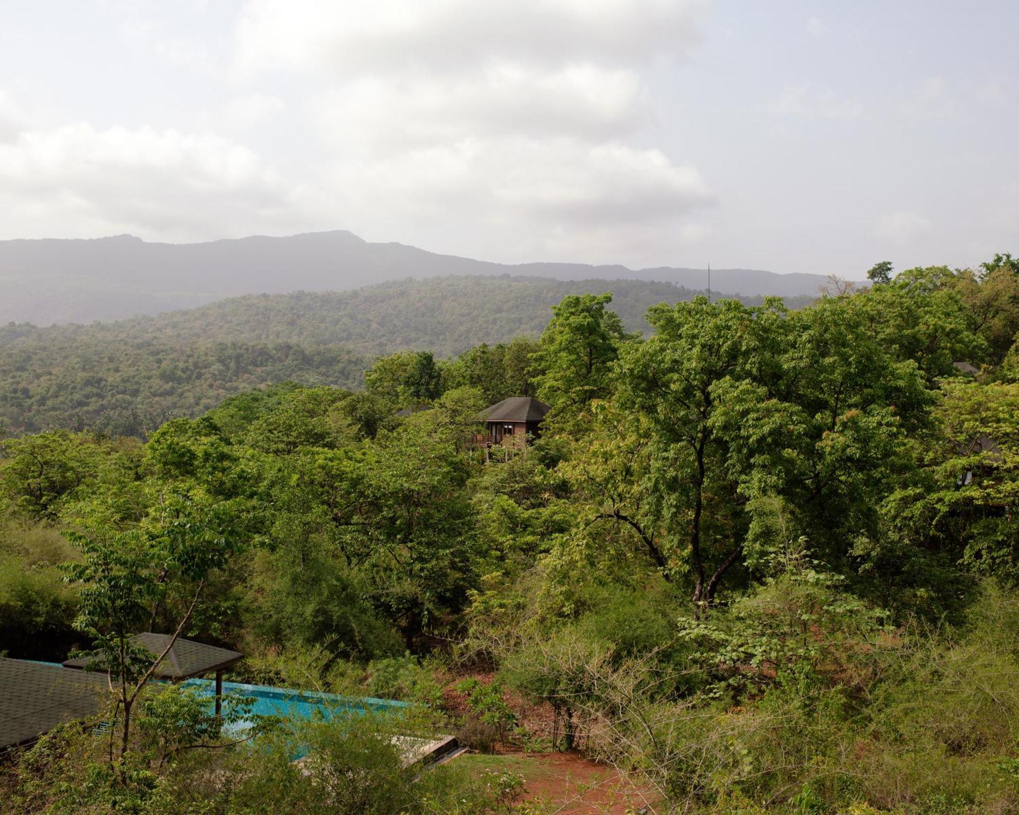 The Postcard Hideaway, Netravali Wildlife Sanctuary, Goa Vichondrem Exterior foto