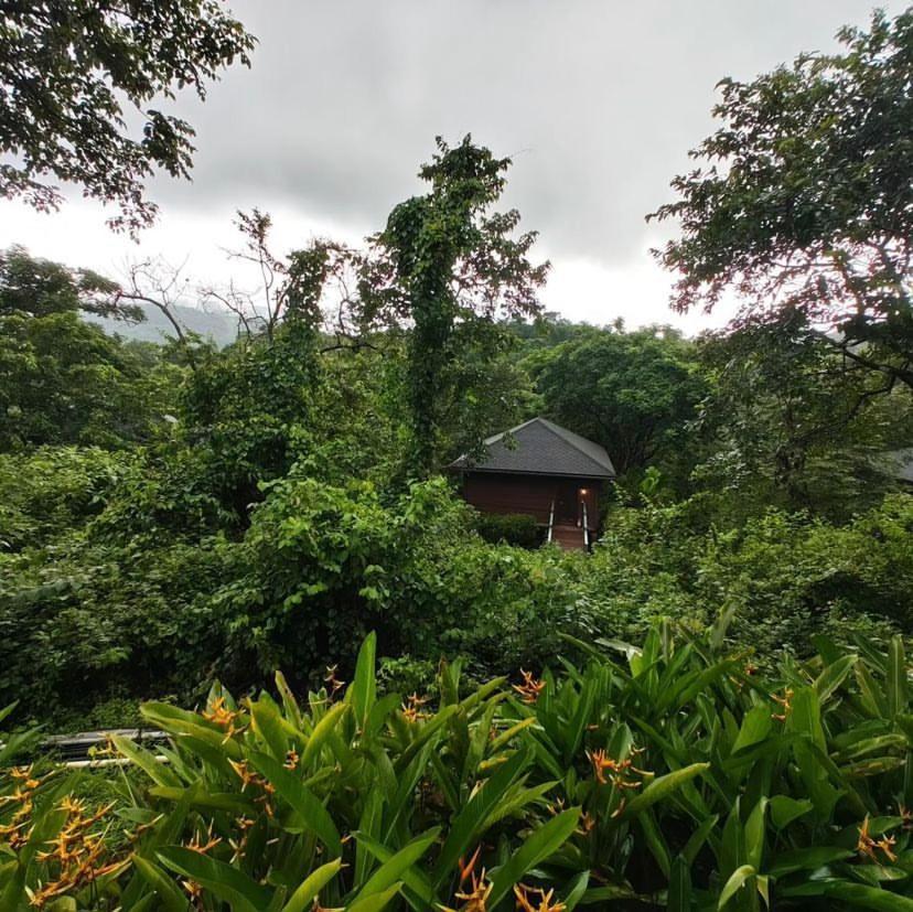 The Postcard Hideaway, Netravali Wildlife Sanctuary, Goa Vichondrem Exterior foto