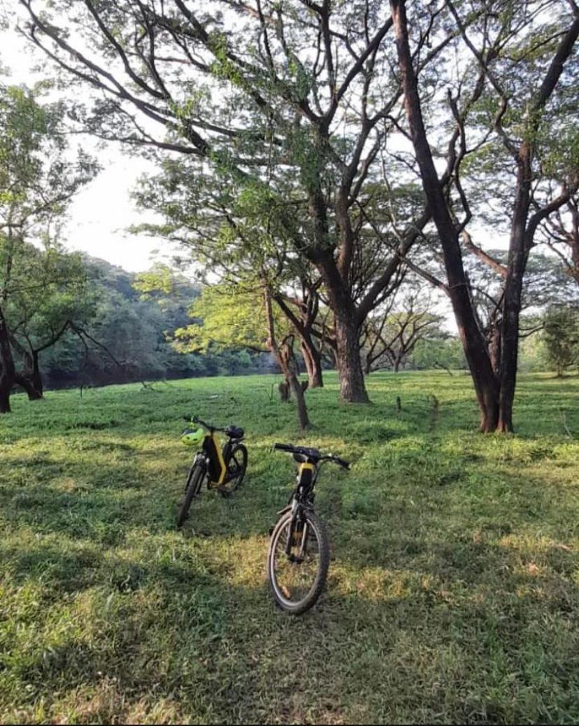 The Postcard Hideaway, Netravali Wildlife Sanctuary, Goa Vichondrem Exterior foto